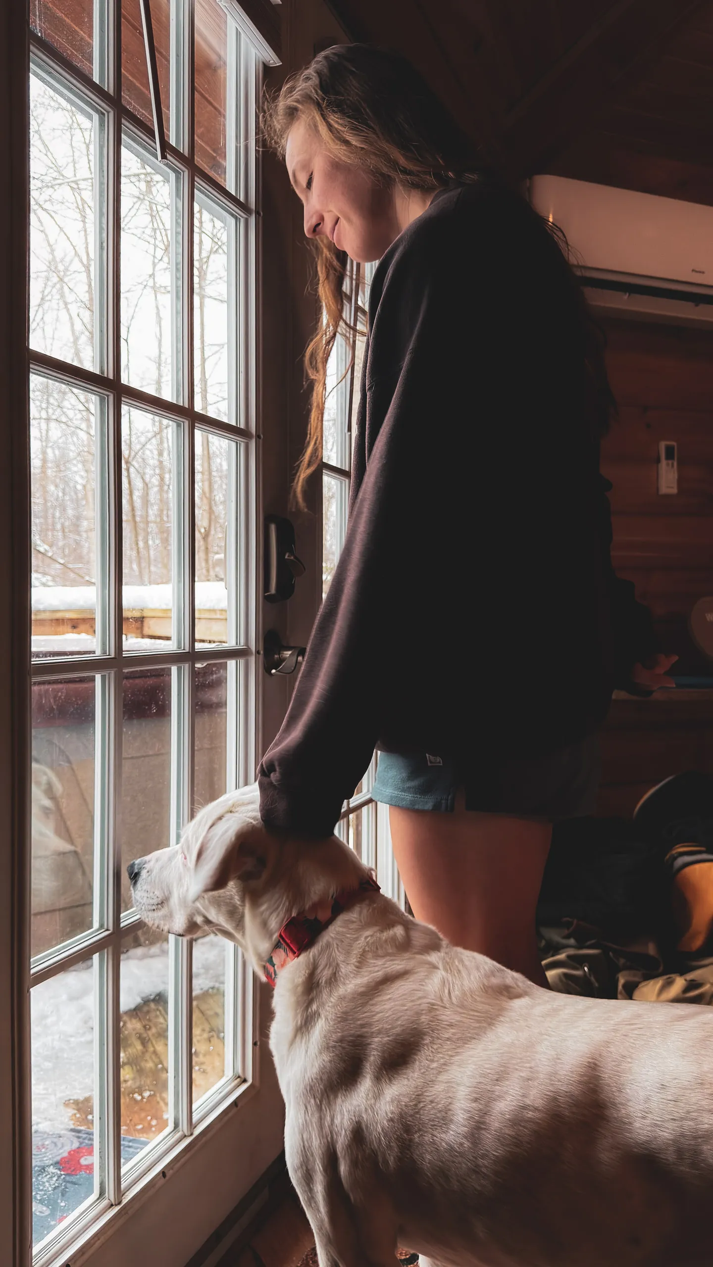 A woman stands at a sunlit french door while her dog watches the yard