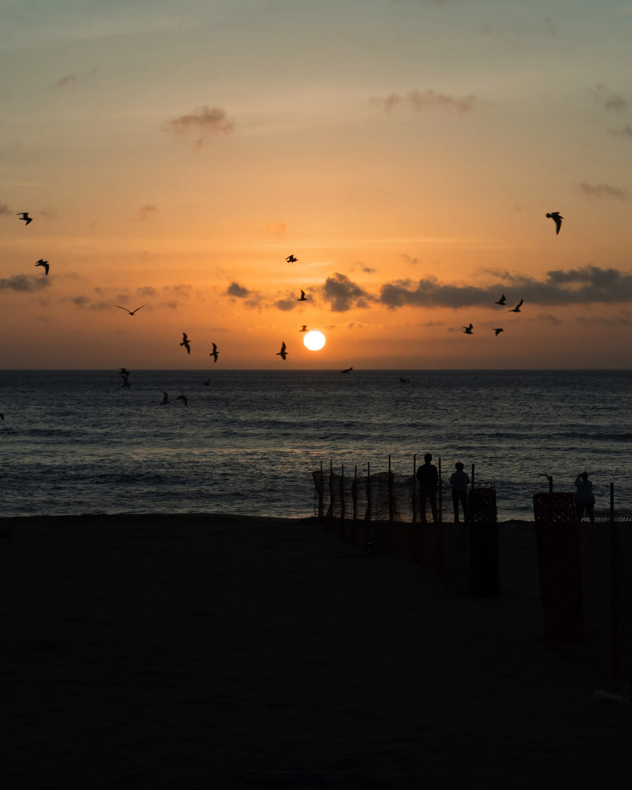 Gulls scatter across a burning orange sunset over the beach pilings